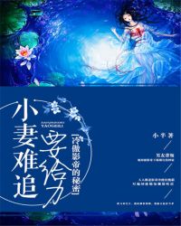 ���Ӱ�۵����ܣ�С����׷Ҫ����